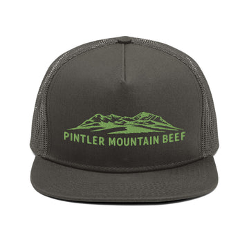 Pintler Mountain Beef Mesh Back Snapback